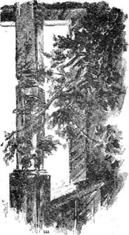 Продолжение легенды - Any2FbImgLoader24