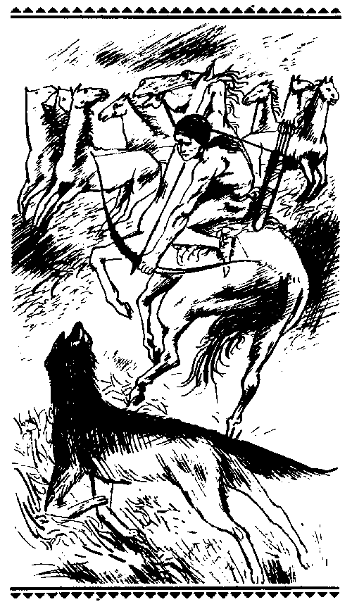 Сыновья Большой Медведицы. Книга 1 - pic_1.png