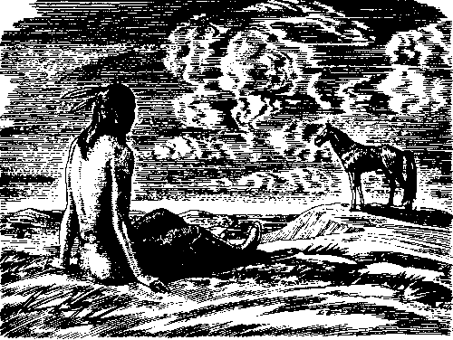 Топ и Гарри (Художник А. Громов) - pic_24.png