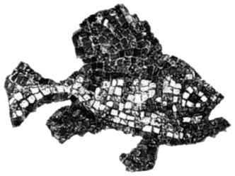 Шляпа из рыбьей чешуи (с иллюстрациями) - i_16.png