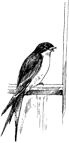 Остров капитанов - i_007.png