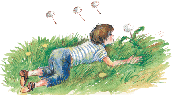 Приключения желтого чемоданчика. Зеленая пилюля - i_022.png