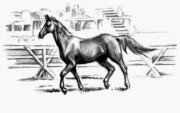 Детям (сборник) - _11.png