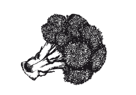 365 рецептов на каждый день - i_014.png