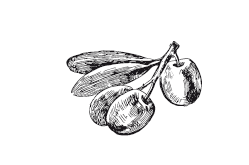 365 рецептов на каждый день - i_032.png