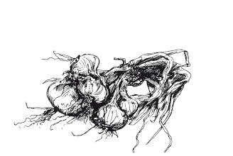 365 рецептов на каждый день - i_035.png