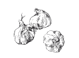 365 рецептов на каждый день - i_040.png