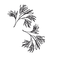 365 рецептов на каждый день - i_043.png