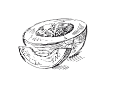 365 рецептов на каждый день - i_057.png