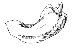 365 рецептов на каждый день - i_061.png