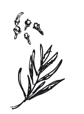 365 рецептов на каждый день - i_063.png