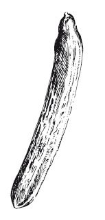 365 рецептов на каждый день - i_074.png