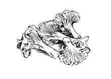 365 рецептов на каждый день - i_078.png