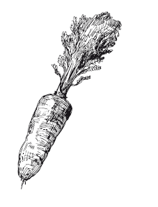 365 рецептов на каждый день - i_081.png