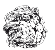 365 рецептов на каждый день - i_086.png