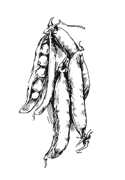 365 рецептов на каждый день - i_087.png