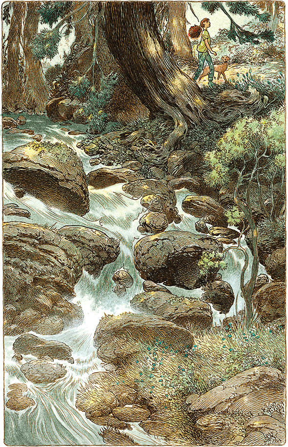 Семь диких сестер - i_008.png