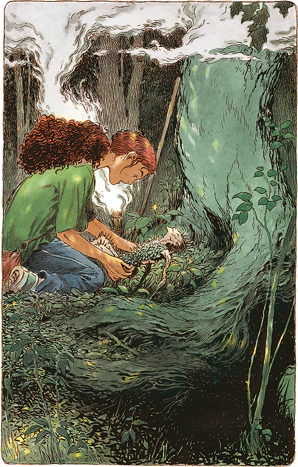 Семь диких сестер - i_016.png