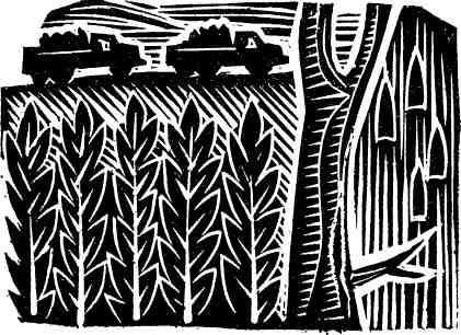 Есть такой фронт - img_20.jpeg