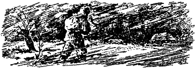 Не открывая лица - i_002.png