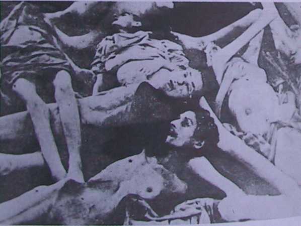 Черная книга - _14.jpg