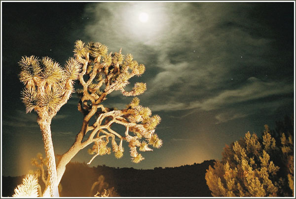 Новые сказки Шехерезады (СИ) - Kostjorvpustyne.jpg