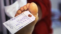 Эрекция в морге (СИ) - EHrekcija1.jpg