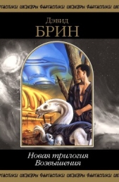 Новая трилогия Возвышения. Том 1 - автор Брин Дэвид 