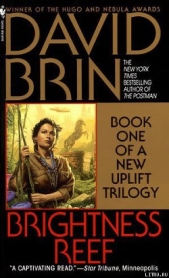 Риф яркости - автор Брин Дэвид 