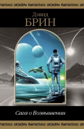 Сага о возвышении - автор Брин Дэвид 