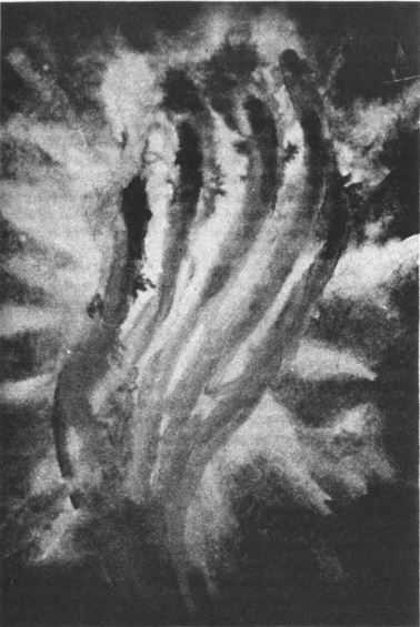 Области человеческого бессознательного: Данные исследований ЛСД - imgFF02.jpg