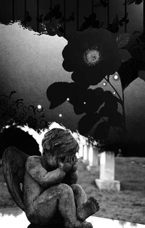 Кола на воді - pic_2.png