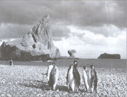 Загадки Шестого континента (др. изд.) - i_010.jpg