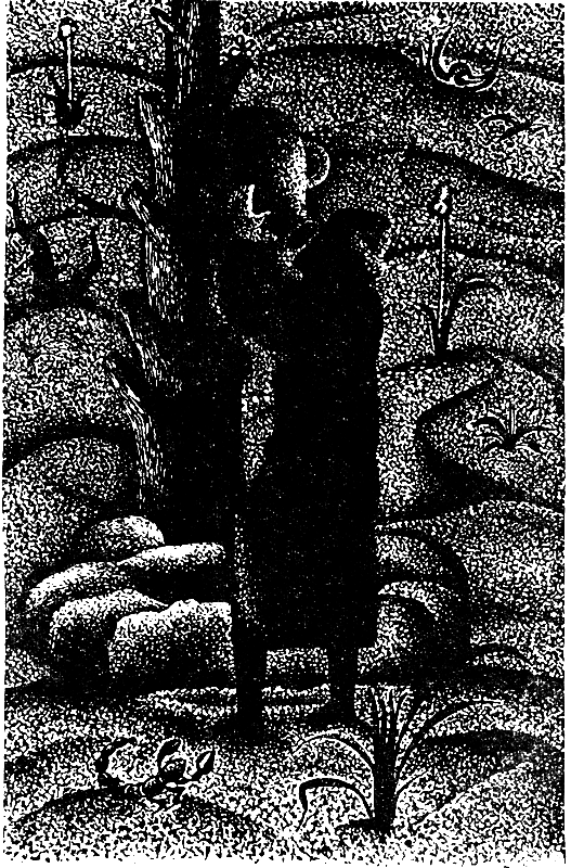 Государыня пустыня - i_017.png