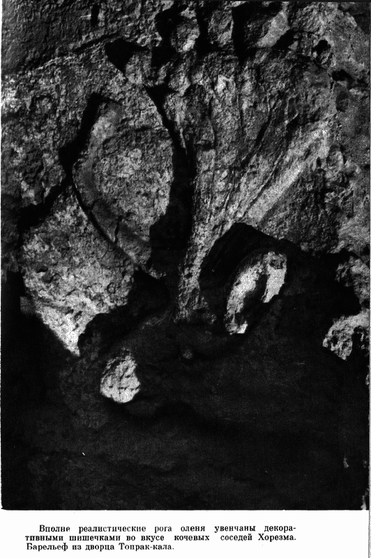 Государыня пустыня - i_033.png