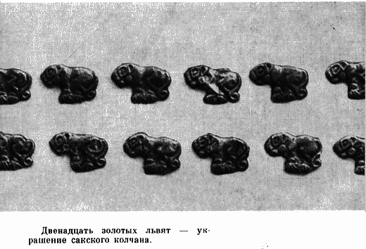 Государыня пустыня - i_036.png