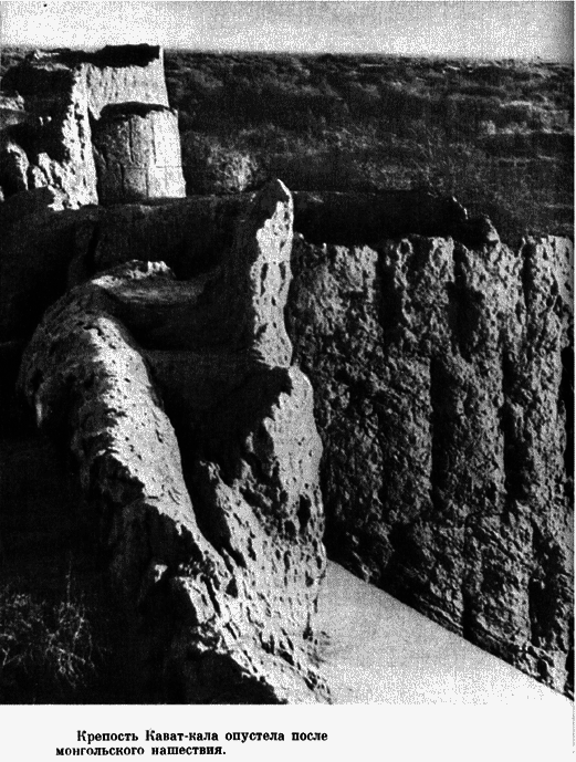 Государыня пустыня - i_042.png