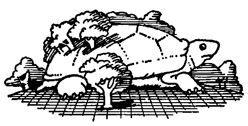 История, конца которой нет - pic_9.png