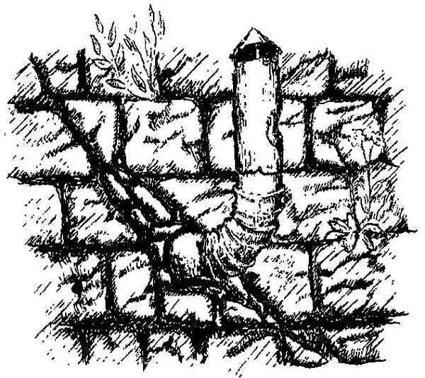 Момо (илл. Михаэля Энде) - i_002.jpg