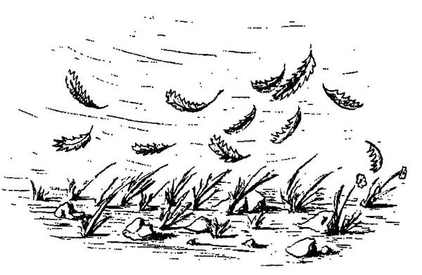 Момо (илл. Михаэля Энде) - i_005.jpg