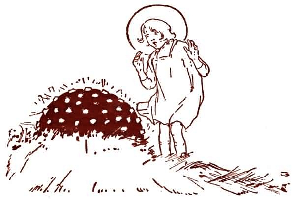 Волшебство Страны Оз (с илл.) - i_040.jpg