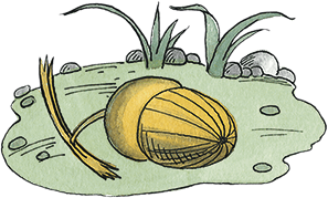 Необыкновенные приключения Карика и Вали - i_018.png