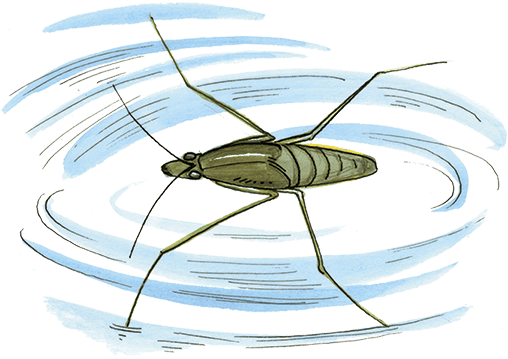 Необыкновенные приключения Карика и Вали - i_023.png