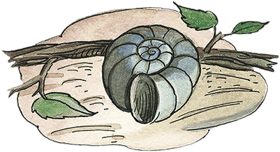 Необыкновенные приключения Карика и Вали - i_024.png