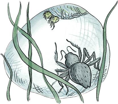 Необыкновенные приключения Карика и Вали - i_032.png