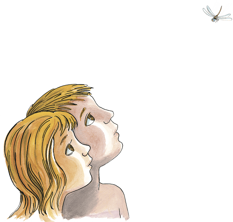 Необыкновенные приключения Карика и Вали (ил. А.Кукушкин) - i_016.png