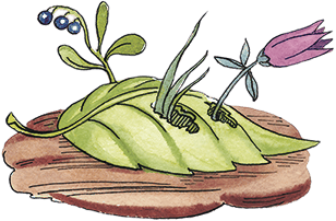 Необыкновенные приключения Карика и Вали (ил. А.Кукушкин) - i_041.png