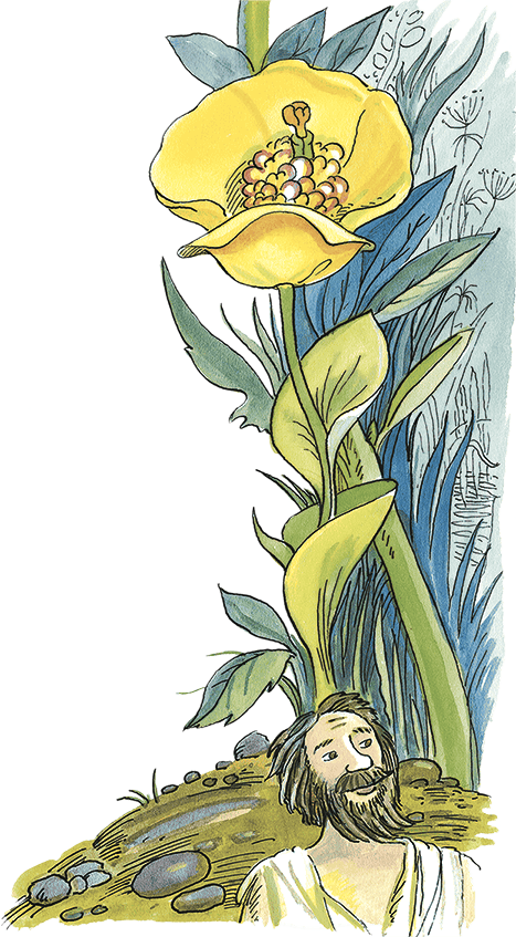 Необыкновенные приключения Карика и Вали (илл. А. Андреева) - i_026.png