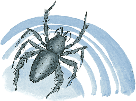 Необыкновенные приключения Карика и Вали (илл. А. Андреева) - i_033.png