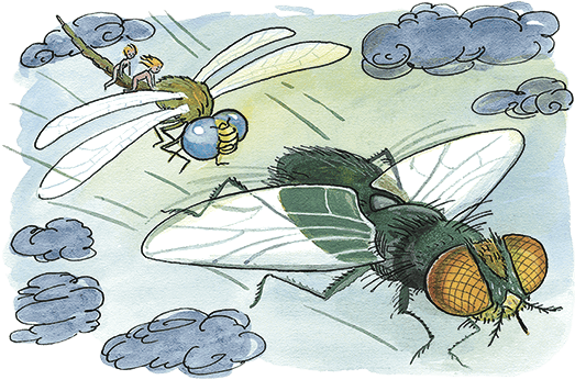 Необыкновенные приключения Карика и Вали (Художник Э. Кондиайн) - i_020.png